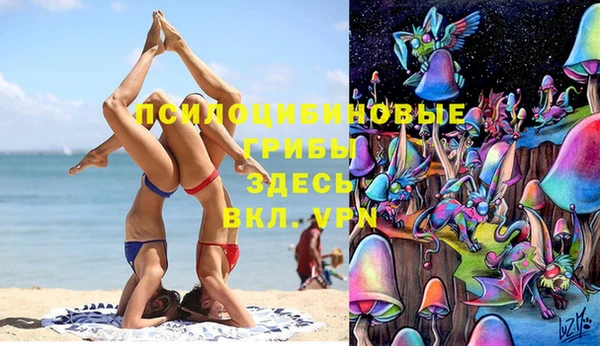 индика Лиски